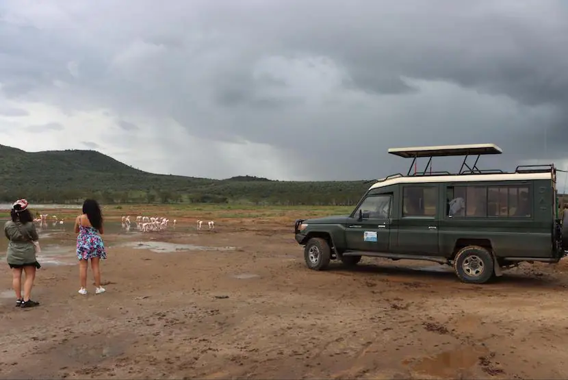 Kenya Travel Agency - Tour Operator
