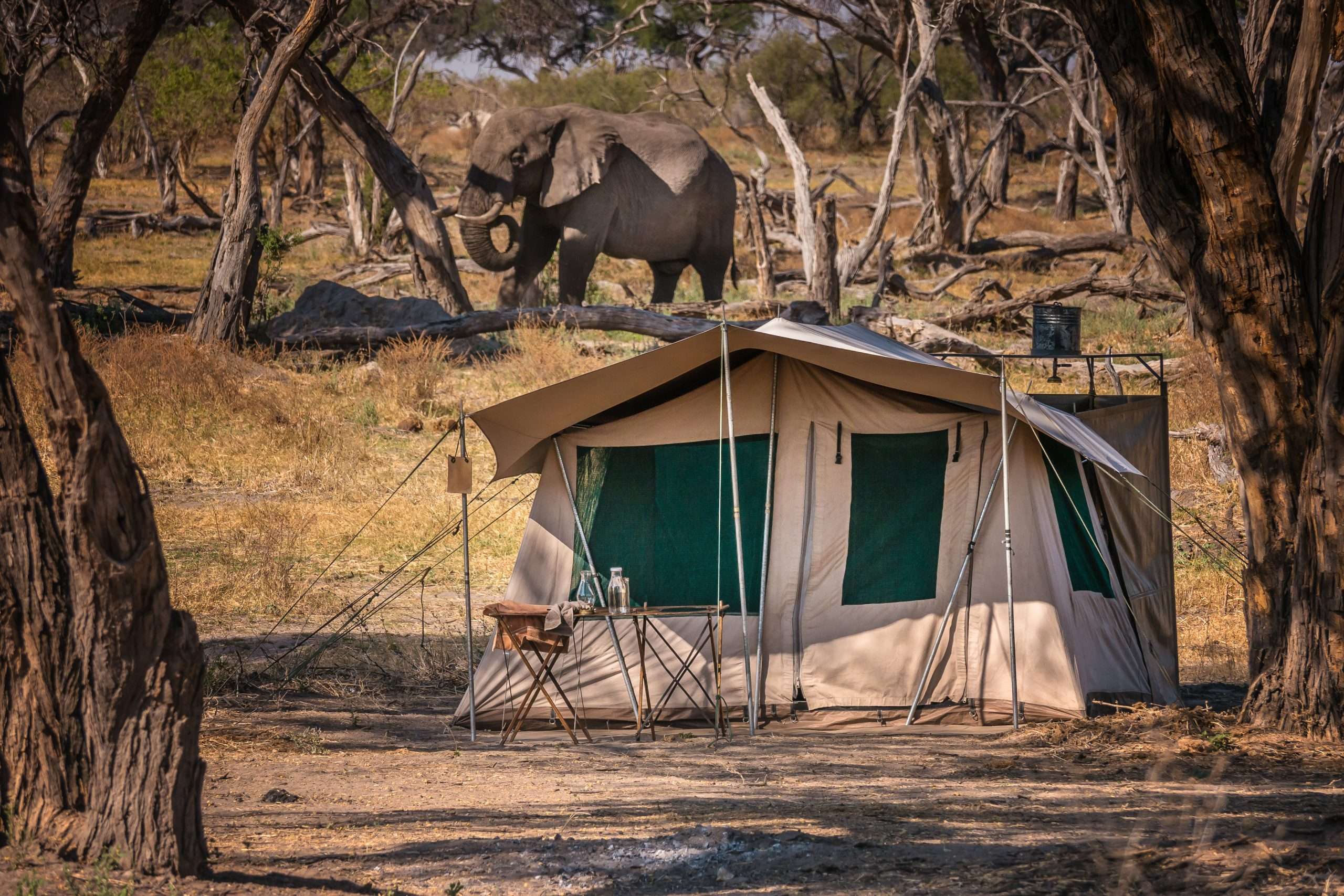 Masaimarasafari.in Camping
