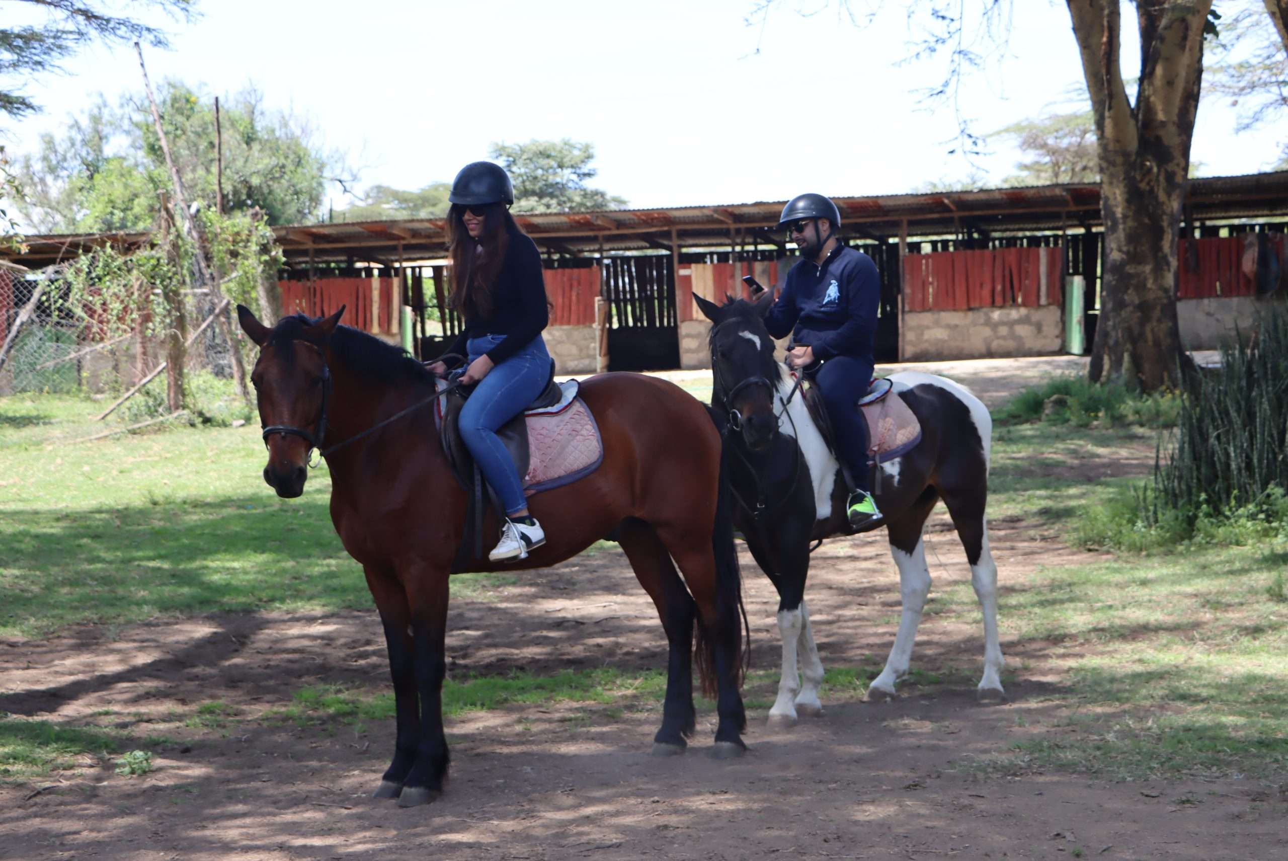 Horse Safari