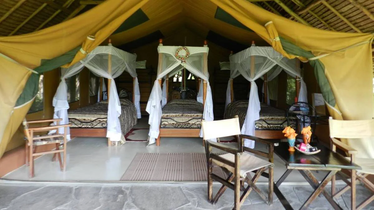MasaiMaraSafari.in - Best Safari Camps and Lodges in Kenya