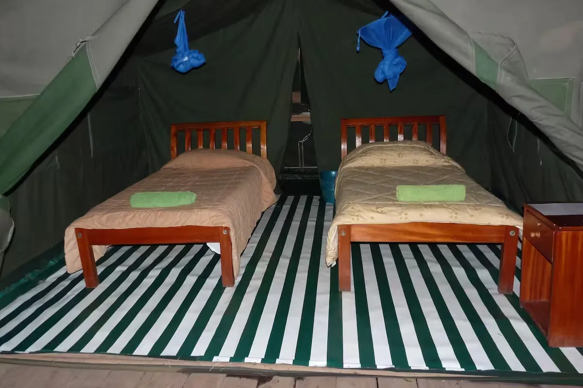 Ultimate 3 Day Kenya Safari Experience: Discover Wildlife & Adventure 10 Enchoro Wildlife Camp