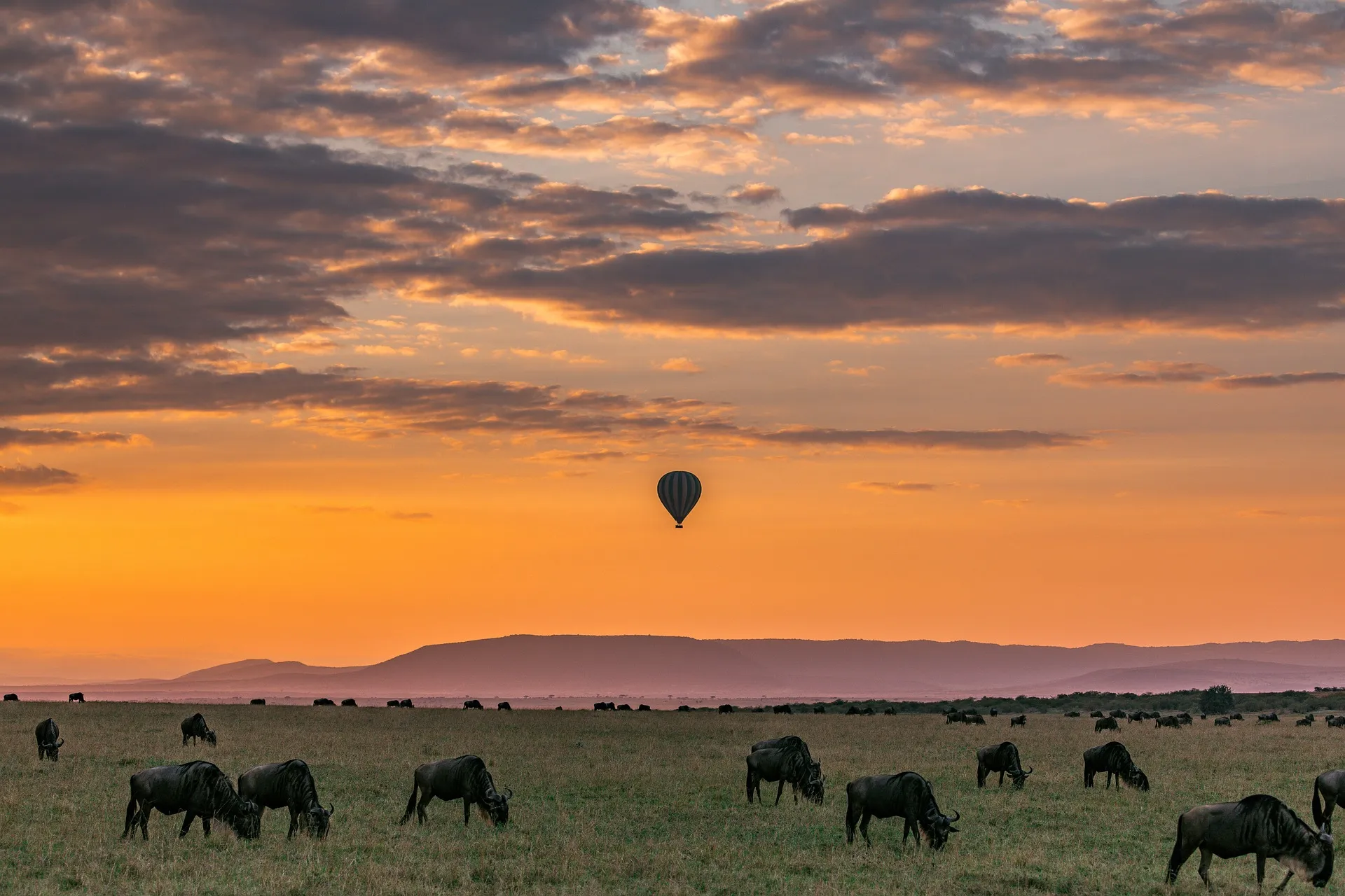migration balloon