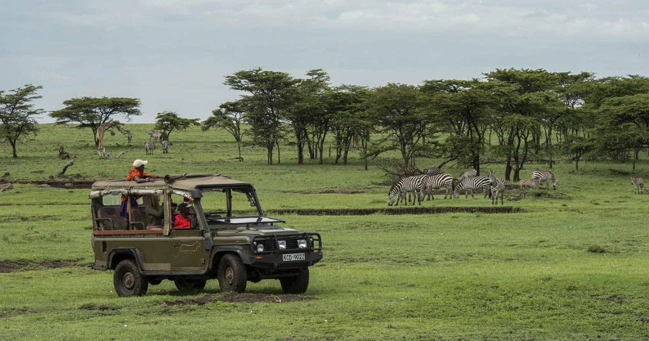 Game drive during a rainy season